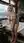 Young adult blonde nude in chalet