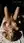 Young blonde balcony masturbation