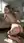 College blonde nude living-room arch