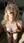 Kneeling nude kitchen ahegao tongue out