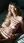 Blonde blue eyes nude on mattress