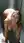 College blonde on all fours shower