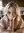 Kitchen POV blowjob on knees