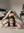 Asian ass up mirror selfie
