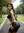 Athletic ebony ass grab in park