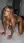 Nude blonde on all fours