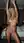 Curvy blonde nude overhead selfie