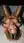 Blonde nude terrace spread daylight