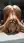 Nude blonde spread on kitchen counter