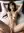 Creampie POV from above