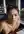 Nude at office desk from above