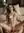 Naked reverse cowgirl on living room couch