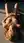 Nude gym floor overhead view