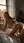 Young curvy blonde anal doggy