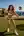 Slim athletic body in micro bikini volleyball pose