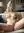 Blonde fingers her shaved pussy