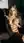 Nude blonde reclines on sofa