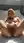 Blonde nude on bed, legs spread