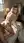 Curvy blonde doggystyle on sunlit bed