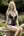 Blonde in sheer navy lace garden