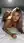 Nude arched back from behind
