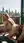 Balcony doggystyle with city view