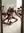 Young adult thong mirror selfie