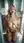 Young adult blonde ahegao on tiles