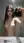 Brunette mirror selfie topless bathroom