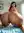 Curvy brunette ass arched on bed