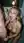 Blonde blue eyes bathroom blowjob