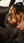 Blonde fingers herself in car at dusk