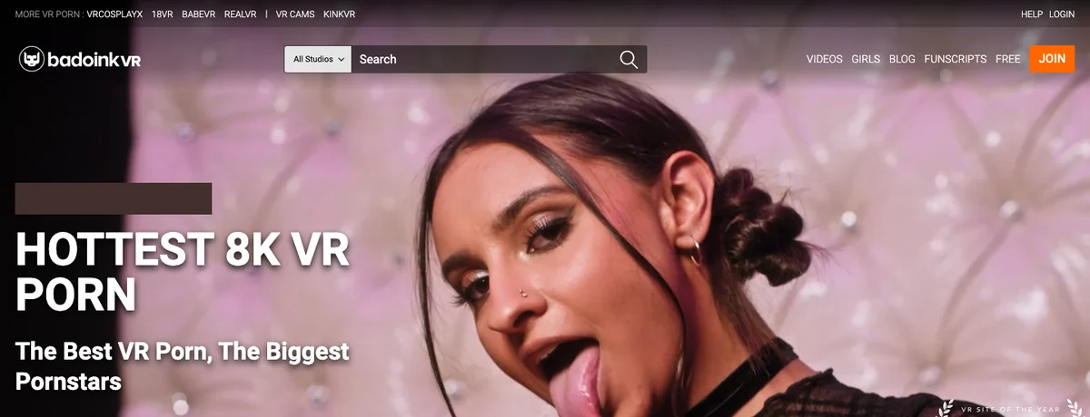 BadoinkVR homepage, checked October 2026